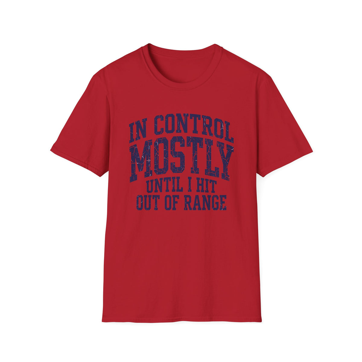 In Control Mostly T-Shirt
